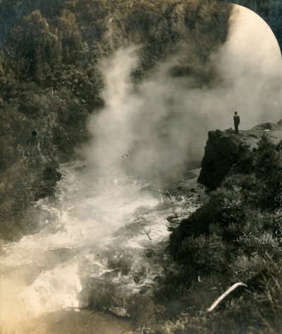 香槟大锅，新西兰怀拉基，大约1909年。 作者 乔治·罗斯