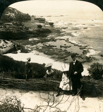 后滩低潮，澳大利亚维多利亚州索伦托，c1909。 作者 乔治·罗斯