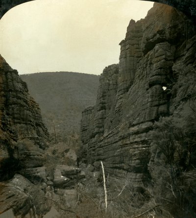 佳能大剧院，澳大利亚维多利亚州格兰屏，1908年。 作者 乔治·罗斯