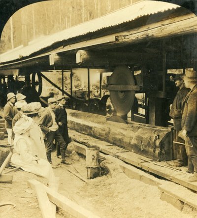 木材工业，澳大利亚维多利亚州沃伯顿，1909年。 作者 乔治·罗斯