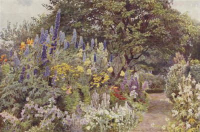 Ramscliffe，Larkspur 作者 乔治·塞缪尔·埃尔古德