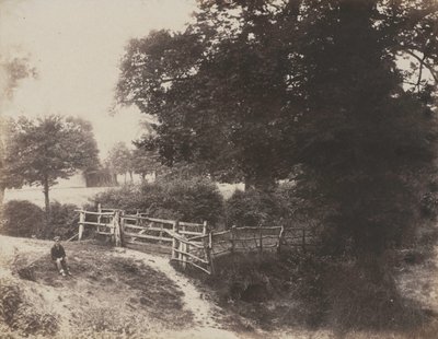 绿草地，1854年。 作者 乔治·沙博特