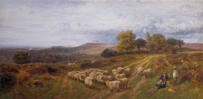 牧羊人与羊群的广阔风景，萨里（布面油画） 作者 乔治·沙尔德斯