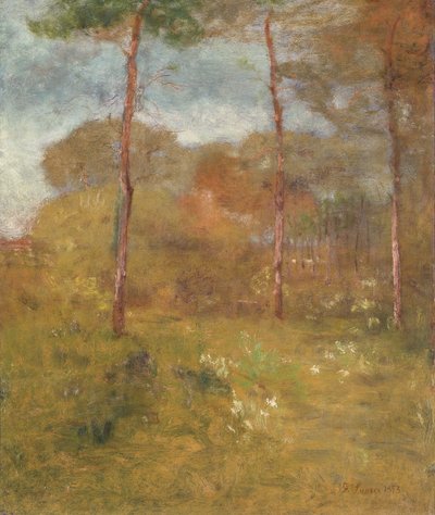 奥兰治路，塔彭斯普林斯，c.1893（布面油画） 作者 乔治·斯尼尔因内斯