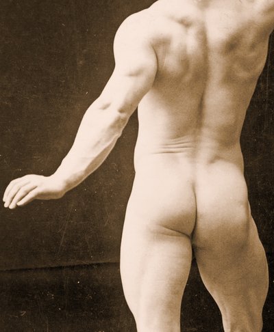 Eugen Sandow，古典古希腊罗马姿势，细节DGC 1073442 c.1894 bw照片 作者 George Steckel