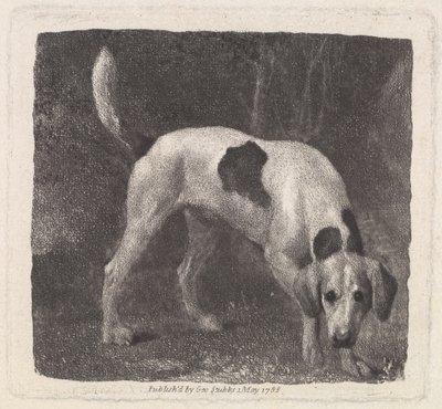 狗（香味上的猎狐犬）由艺术家，酒吧刻。 1788 作者 乔治·斯塔布斯
