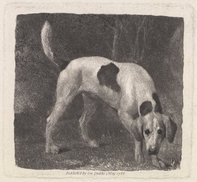 狗 [嗅觉灵敏的猎狐犬] 作者 乔治·斯塔布斯