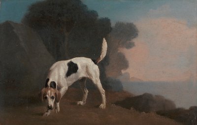 猎狐犬 作者 乔治·斯塔布斯