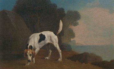 猎狐犬 作者 乔治·斯塔布斯