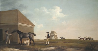 1765年，纽马克希思（Newmarket Heath）的金克拉克（Gimcrack）和教练，马a和骑师 作者 乔治·斯塔布斯