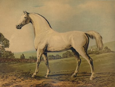 Mambrino。由Grosvenor勋爵（c1770s，c1879）育成。 作者 乔治·斯塔布斯