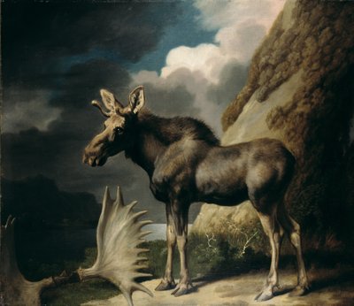 穆斯，1770年 作者 乔治·斯塔布斯