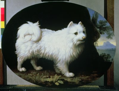 法国夫人的白色膝犬肖像，1782年 作者 乔治·斯塔布斯