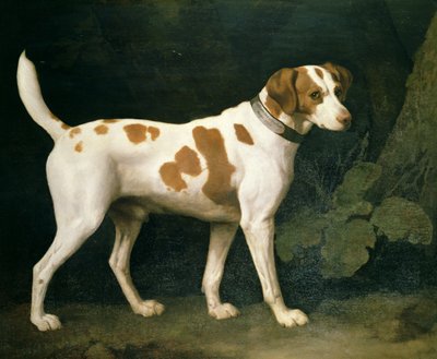 属于威廉-皮特的猎犬的画像 作者 乔治·斯塔布斯