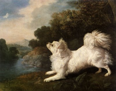 属于画家科斯威追逐蝴蝶的西班牙猎狗，1775年 作者 乔治·斯塔布斯