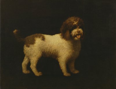 水猎犬 作者 乔治·斯塔布斯