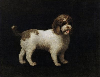 水猎犬 作者 乔治·斯塔布斯