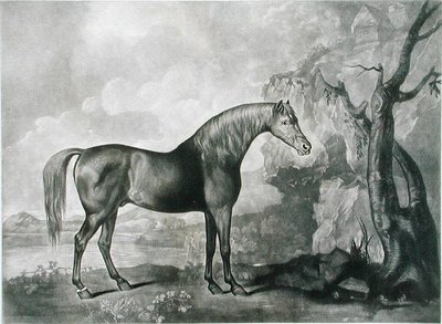 布朗马面具，追随乔治斯塔布斯，1773年（mezzotint） 作者 乔治·汤利·斯塔布斯