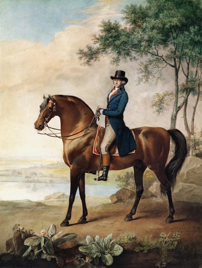 Warren Hastings Esq.在他的阿拉伯马上，根据George Stubbs的画作。 作者 乔治·汤利·斯塔布斯