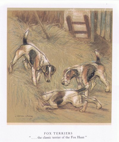狐狸梗犬（彩色印刷版） 作者 乔治·弗农·斯托克斯