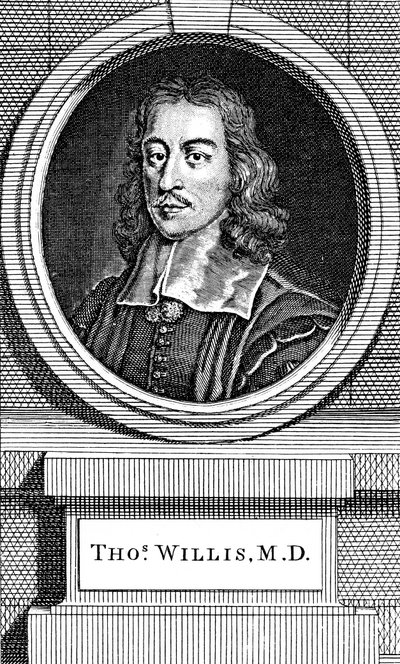 托马斯·威利斯（Thomas Willis），17世纪英国医师，1742年 作者 乔治·维尔图