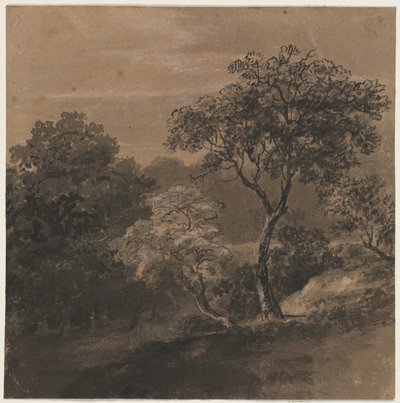 景观 作者 乔治·文森特