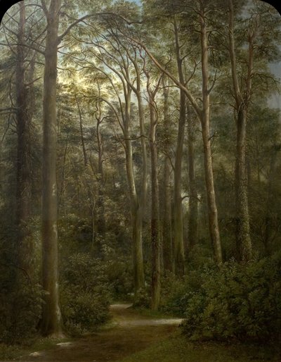 荒野，1857年 作者 George Augustus Wallis