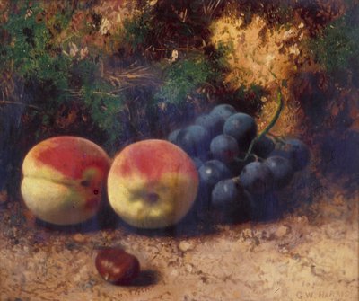 桃子和葡萄》，1864年 作者 乔治·沃尔特·哈里斯