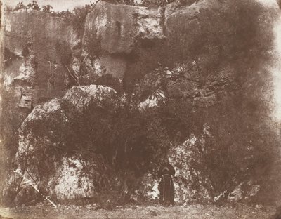 塞尔维娅的花园，西西里岛锡拉库扎，1846年。 作者 乔治·威尔逊·布里奇斯