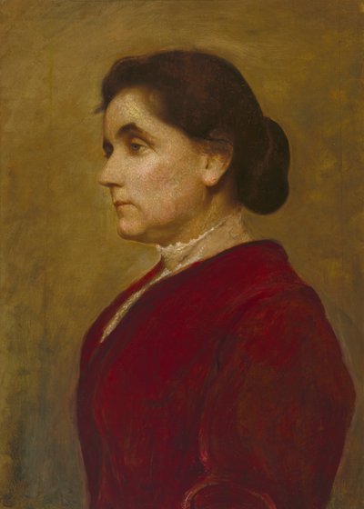 简-亚当斯，1906年。 作者 乔治·德·森林刷