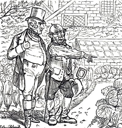 Cartoon depicting a gentleman with the gardener in the vegetable plot 作者 乔治·杜莫里耶
