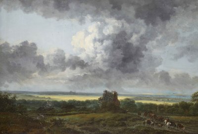 法语: Paysage, environs de Chartres 作者 乔治·米歇尔