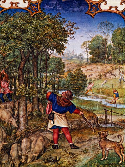 11月，收集橡子和猎野兔，Grimani Breviary的微型画，与Gerard Horenbout（约1465-1541年之前）、Alexander和Simon Bening（1483-1561）的微型画，cod Lat I，99 f 11v，荷兰 作者 杰拉德·霍伦布特