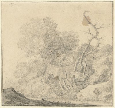 水边树丛中的房屋 作者 Pieter de Molijn (追随者)