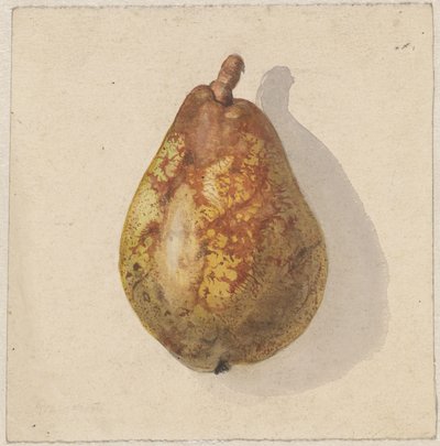 同行 作者 杰拉迪娜（Gerardina Jacoba）van de Sande Bakhuyzen