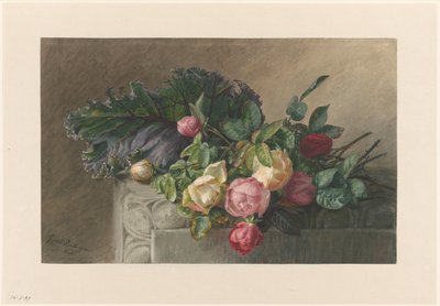 有玫瑰和卷心菜叶的静物 作者 杰拉迪娜（Gerardina Jacoba）van de Sande Bakhuyzen