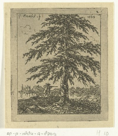 山毛榉和猎人的风景
榉树 作者 Gerardus Emaus de Micault