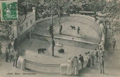 伯尔尼动物园，熊园。明信片寄于 1913 年 6 月 19 日。 作者 德国摄影师