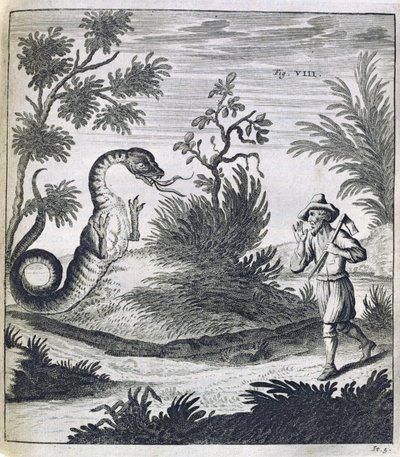 一条恐惧的龙，1660年 作者 德国学校
