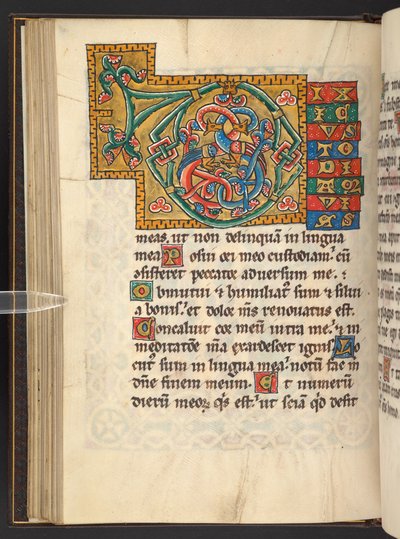 Add.60629，f.43v 金色和彩色大框首字母缩写，带有叶状装饰，有时还有变形和拟人装饰（牛皮纸） 作者 德国学校