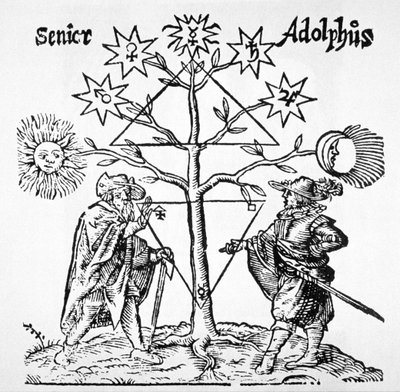 来自托马斯诺顿博物馆Hermeticum（1749年）的炼金树，图解和象征，在19世纪后期出版的魔术史中有所体现 作者 德国学校