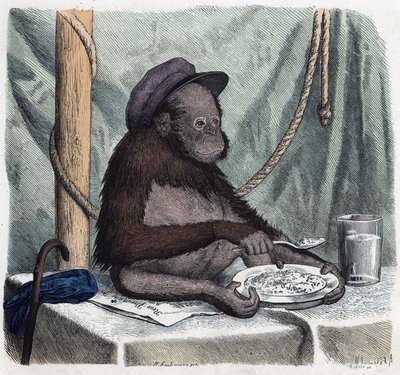 一个受过教育的猩猩（orang-utan，orang outang，orang-utang）用勺子吃米。在 "Wenn Jemand eine Reise thut, so kann er was erzahlen"（当有人旅行时，这是他能说出的），德国故事，作者Franz Wiedemann 作者 德国学校