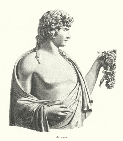Antinous，希腊青年和罗马皇帝哈德良的宠儿或情人（雕刻） 作者 德国学校