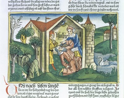 Apocrypha：Tobit被纽伦堡圣经（Biblia Sacra Germanaica）（彩色木刻）中的麻雀粪便所蒙蔽 作者 德国学校