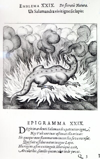 当蝾螈生活在火中时，1617年迈克尔·迈尔的石头，亚特兰大侏儒的象征XXIX 作者 德国学校
