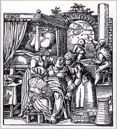 占星家为出生椅上的女性生下的孩子投了一个星座，来自Jacob Rueff的De Conceptu et Generatione Hominis，于1587年在法兰克福出版 作者 德国学校