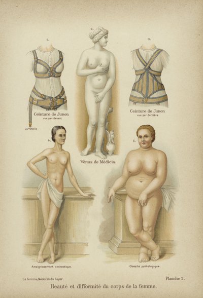女性身体的美丽和畸形 作者 德国学校