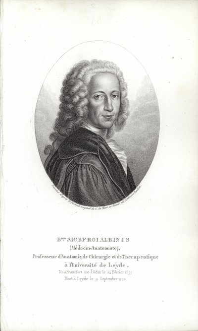 Bernhard Siegfried Albinus 作者 德国学校