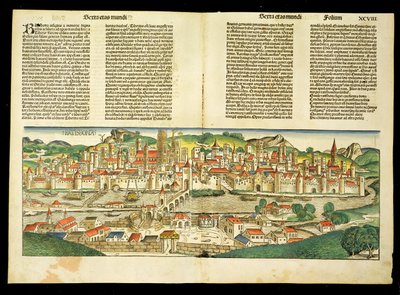 Ratisbon的鸟瞰图，来自纽伦堡纪事报（Hartmann Schedel）（1440-1514）1493 作者 德国学校