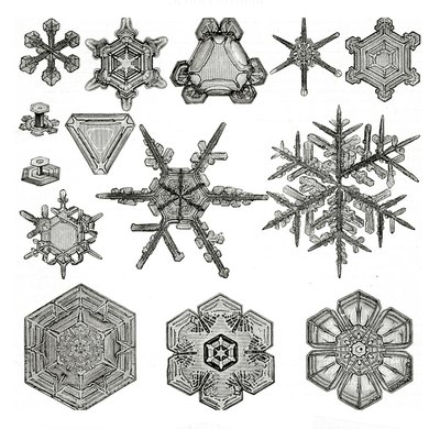 不同形式的雪花 作者 德国学校